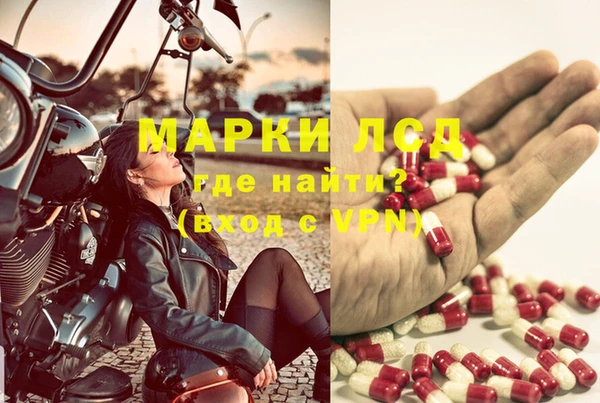 молекула духа Наволоки