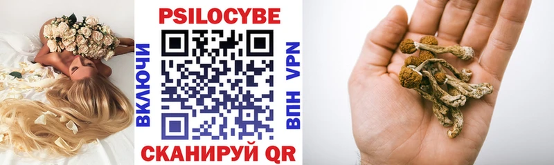 Купить где  Оханск  Псилоцибиновые грибы мухоморы 